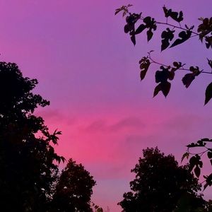 Meet your Posher, Ariana